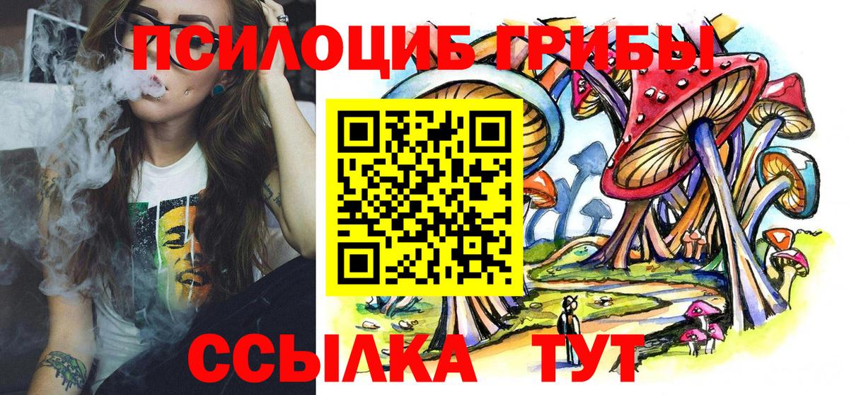 Галлюциногенные грибы Cubensis Минусинск
