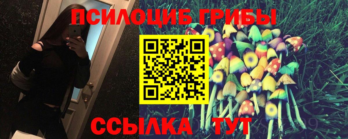 Минусинск  Галлюциногенные грибы мухоморы  Псилоцибиновые грибы Cubensis  где можно купить наркотик  Вход с VPN 